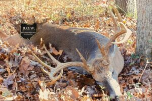 Ohio-whitetail-hunts-scaled