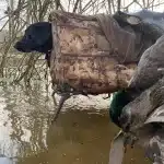 6a091ef3-7dd5-4f23-8691-3b6fa0a63ed3