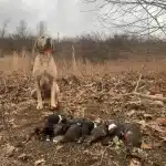 b38a90c5-836c-4b16-a161-15320bfd341d