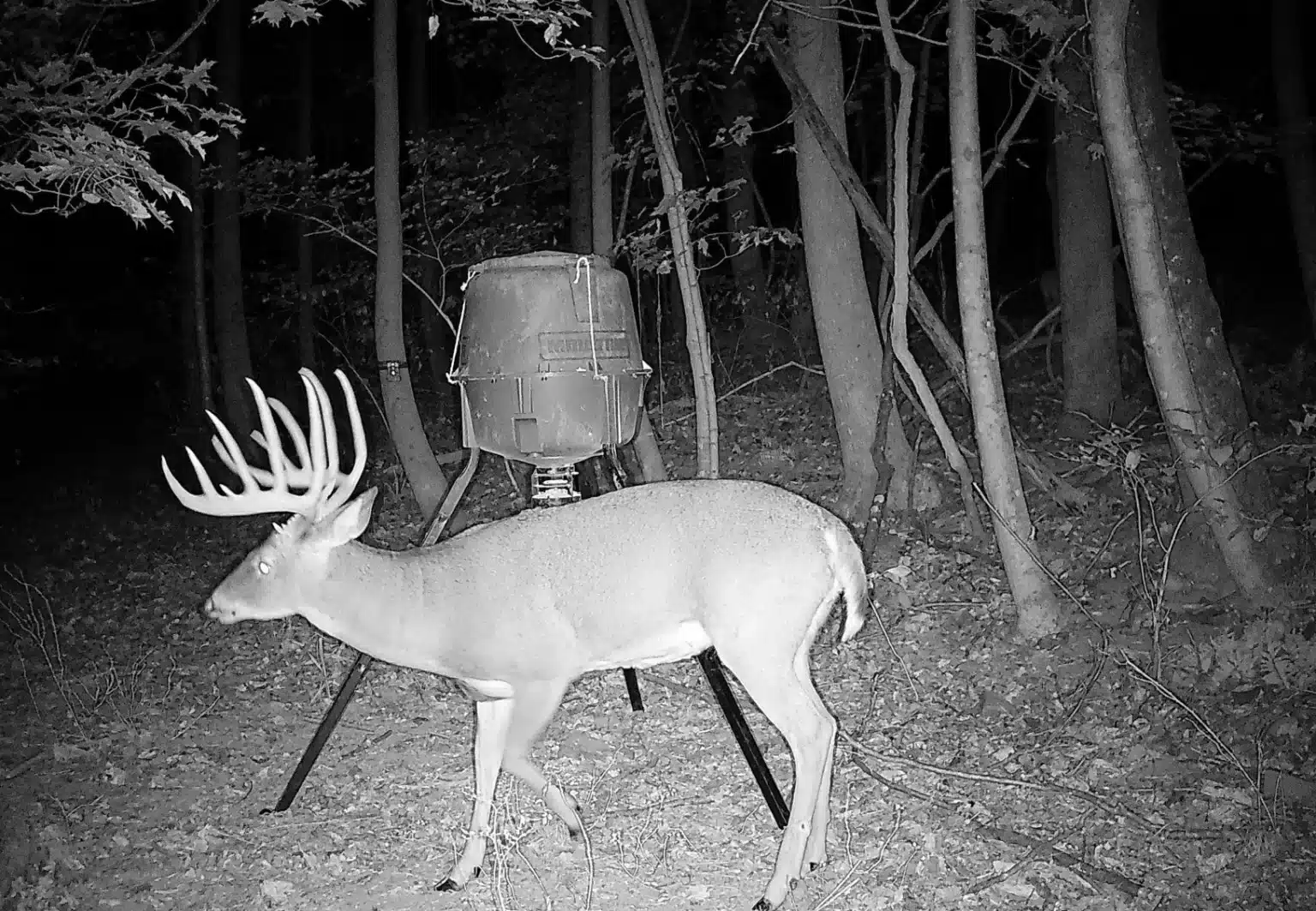 501 Pike 30P Bowhunting Ohio Whitetails Ohio Outfitter for Self